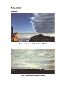 Nubes y Fenómenos Nubes bajas Figura 1 – Stratocumulus