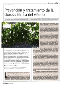 Prevención y tratamiento de la clorosis férrica del viñedo