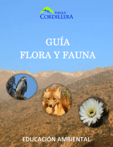 GUÍA FLORA Y FAUNA - Asociación Parque Cordillera