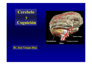 Cerebelo y Cognición