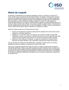 Matriz de Leopold - International Institute for Sustainable Development