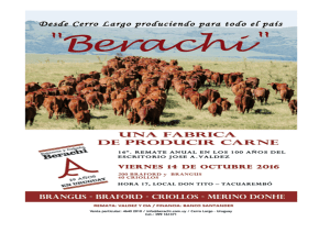 Descargar Catálogo remate “Berachí” 2016 INFO