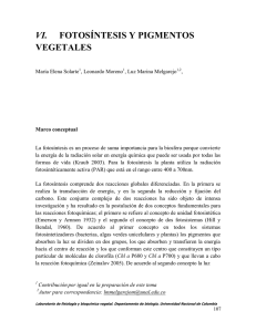 PDF (Fotosíntesis y pigmentos vegetales)