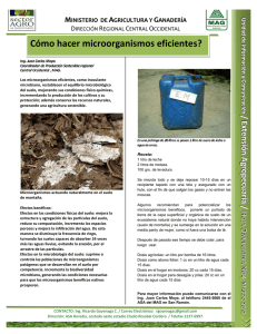 Marzo 2012. Cómo hacer microorganismos eficientes?