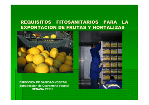requisitos fitosanitarios para la exportacion de frutas y hortalizas