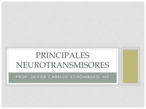 Principales neurotransmisores