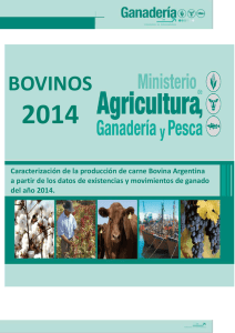 Caracterización producción Bovina Argentina año 2014 Final