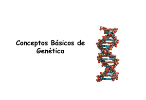 genoma - Dr. Fernando Tuya
