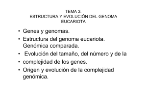 Genomica. Evolución genómica, paradoja Valor C