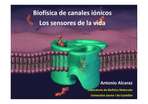 Biofísica de canales iónicos Los sensores de la vida