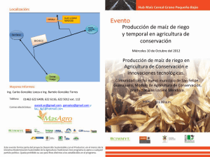 Producción de maíz de riego y temporal en agricultura de