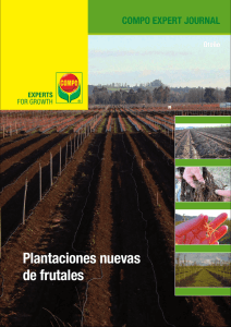 Plantaciones nuevas de frutales