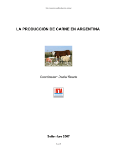 la producción de carne en argentina