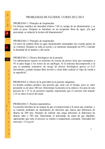 PDF Problemas De Fluidos. Curso 2012-2013