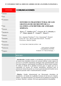 estudio ultraestructural de los gránulos de secreción