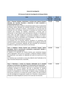 Líneas de Investigación VII Concurso Fondo de