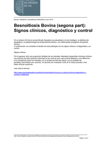 Besnoitiosis Bovina (segona part): Signos clínicos