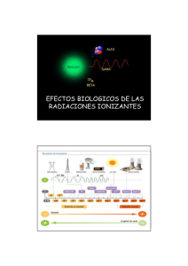 efectos biológicos-2012