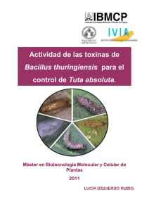 Actividad de las toxinas de Bacillus thuringiensis para el control de