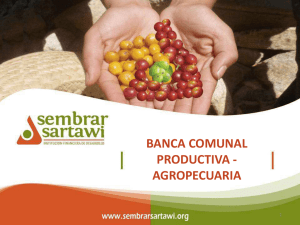 Banca comunal productiva - agropecuaria