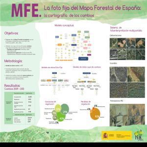 Panel 14. La Foto Fija del Mapa Forestal de España