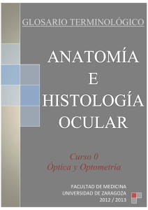 anatomía e histología ocularo - OpenCourseWare de la Universidad