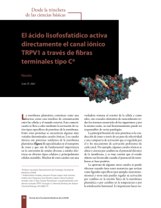 El ácido lisofosfatídico activa directamente el canal iónico trPV1 a