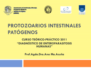 protozoarios intestinales patógenos