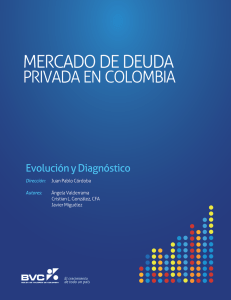2 La oferta en el mercado de deuda privada en Colombia La