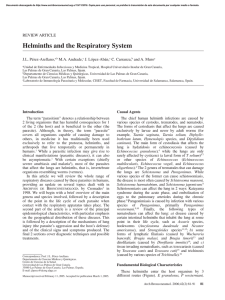 Helminths and the Respiratory System
