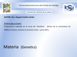 ciclo_celular - Universidad Autónoma del Estado de Hidalgo