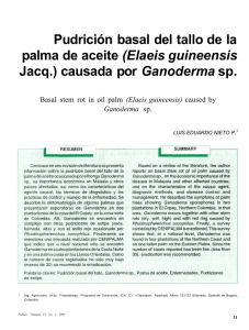 Pudrición basal del tallo de la palma de aceite (Elaeis