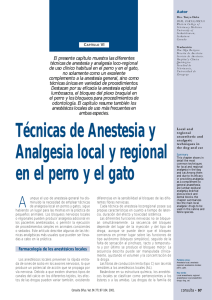 Técnicas de Anestesia y Analgesia local y regional en el perro y el