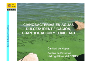 Cianobacterias en aguas dulces: identificación, cuantificación y