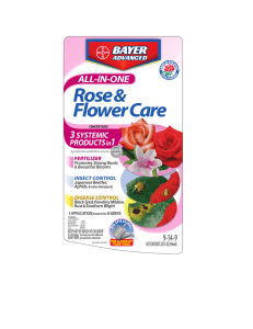 ALL-IN-ONE Rose Flower Care