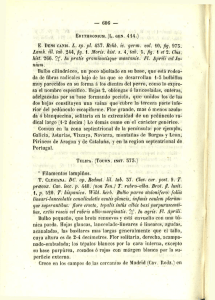 457. Rchb. ic. germ. vol. 10, fig. 975. Lamk. til. tab. 244, fig. 1. Morís