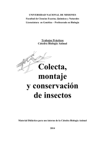 Colecta, montaje y conservación de insectos