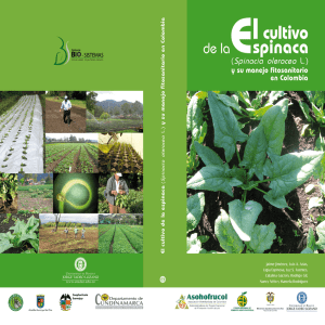 El cultivo de la espinaca - Universidad de Bogotá Jorge Tadeo Lozano