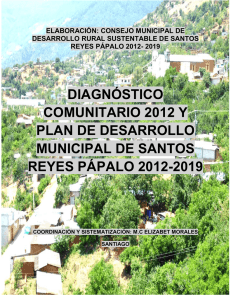 diagnóstico comunitario 2012 y plan de desarrollo municipal de