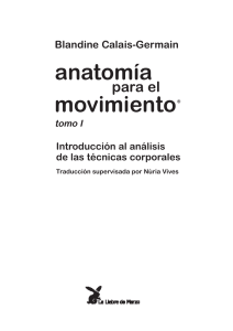 anatomía movimiento - La liebre de marzo.