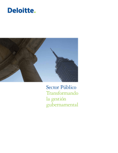 Sector Público Transformando la gestión gubernamental