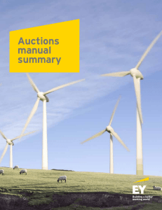 Auctions manual summary (English version)