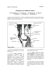 Patología de la rodilla del ciclista *