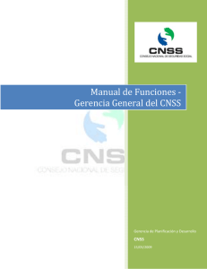 Manual de Funciones ‐ Gerencia General del CNSS