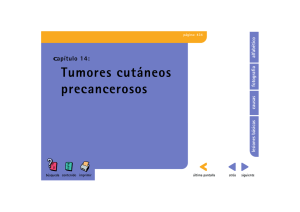 Tumores cutáneos precancerosos . 434