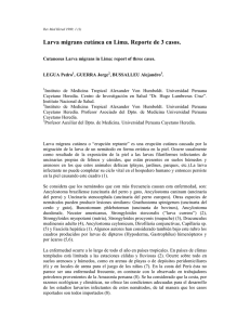 Larva migrans cutánea en Lima. Reporte de 3 casos.