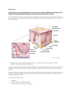 Melanoma • Cáncer de piel de células basales. • Cáncer de piel de