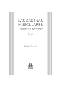 las cadenas musculares