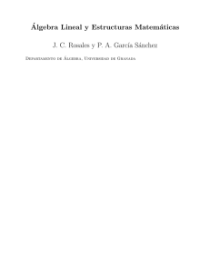 ´Algebra Lineal y Estructuras Matemáticas J. C. Rosales y P. A. Garc