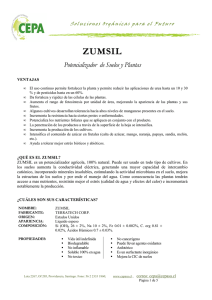 ZumSil Ficha Tec + HSM v.4